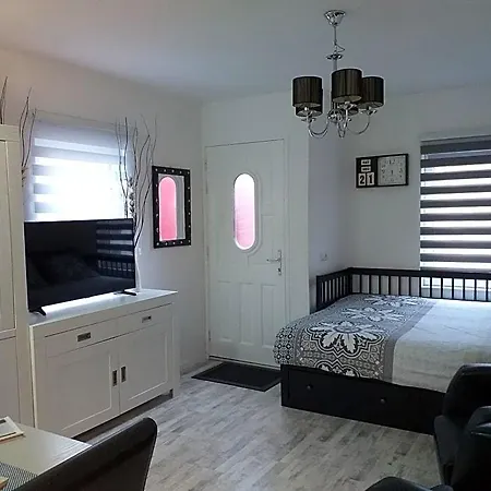 Svs 3*